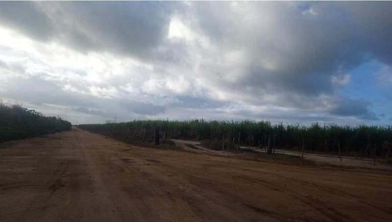Area Rural em leilão em Pedro Canário - ES, bairro Cristal do Norte — Imóvel rural, A.T. 1.447.120m²