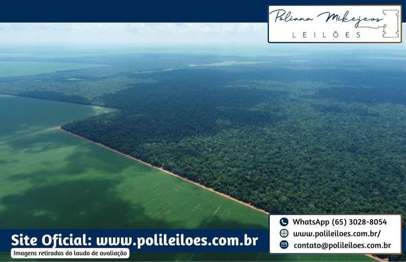 Area Rural em leilão em Vera - MT — Área Rural, 500ha, Fazenda Bom Retiro II, Gleba Atlântica com a Gleba Capen, no Município de Vera/MT