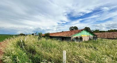 Foto 1 de 40: Area Rural em leilão em Marechal Cândido Rondon - PR — Parte ideal de 55.265,69 m² do Lote Rural 05/A do 19º Perímetro da Fazenda Britânia, situado neste município e comarca de Marechal Candido Rondon/PR