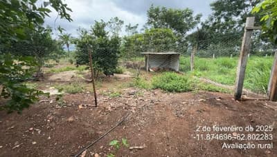 Foto 6 de 11: Area Rural em leilão em São Miguel Do Guaporé - RO — IMÓVEL RURAL - SÍTIO DOIS IRMÃOS DE 12,0919HA - SÃO MIGUEL DO GUAPORÉ/RO