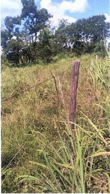 Foto 2 de 5: Area Rural em leilão em Ipameri - GO — IMÓVEL RURAL COM ÁREA DE 16.9400 hectares- Em IPAMERI/GO