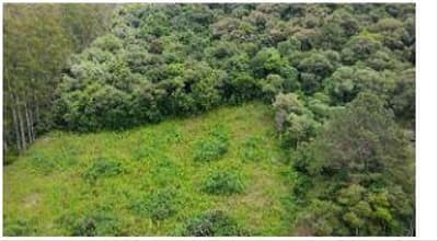 Foto 3 de 8: Area Rural em leilão em Francisco Beltrão - PR — Terreno rural com área de 30.000,00m², Localizado na Linha Água Vermelha, Zona Rural do Município de Francisco Beltrão-PR. Sem benfeitorias.