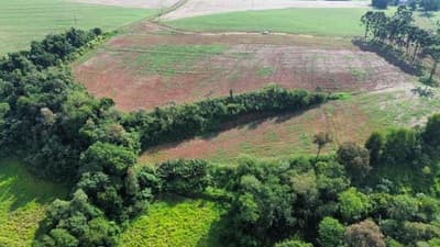 Foto 5 de 10: Area Rural em leilão em Nova Prata Do Iguaçu - PR — IMÓVEL RURAL COM ÁREA TOTAL DE 20.000,00 M2 EM NOVA PRATA DO IGUAÇU-PR