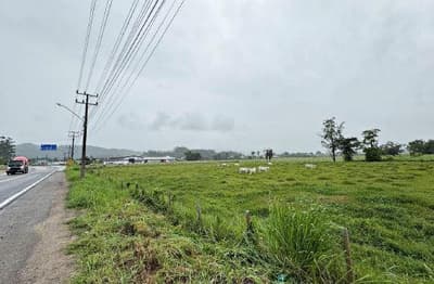 Foto 3 de 4: Terreno em leilão em Gaspar - SC — Terreno com área de 3.184,25m², Gaspar/SC