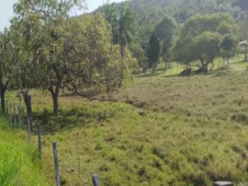 Foto 6 de 7: Terreno em leilão em Jaguaripe - BA, bairro Pirajuia — Lote, 33000.0 m2, Jaguaripe / BA