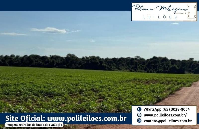 Foto 4 de 14: Area Rural em leilão em Sorriso - MT — Área Rural, Fração Ideal 181,5ha, AT. 363ha, denominada Dal Bosco, Fazenda Rondinha I, Lote Primavera, em Sorriso/MT