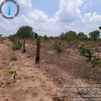 Foto 16 de 17: Area Rural em leilão em Paranã - TO — IMÓVEL RURAL | 1.522,3316 HA | FAZENDA LARGA OU LARGA DO ZÉ JANUÁRIO | PARANÃ/TO.