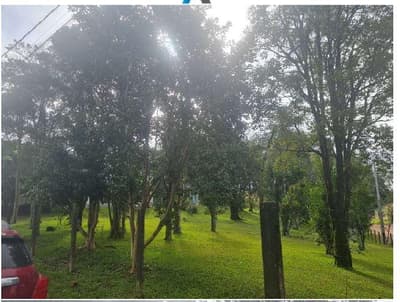 Foto 10 de 23: Area Rural em leilão em Francisco Beltrão - PR, bairro São Miguel — Parte ideal correspondente a 19.150,00 , contendo uma área superficial de 94.839,10m² - Colônia Missões, Francisco Beltrão/PR