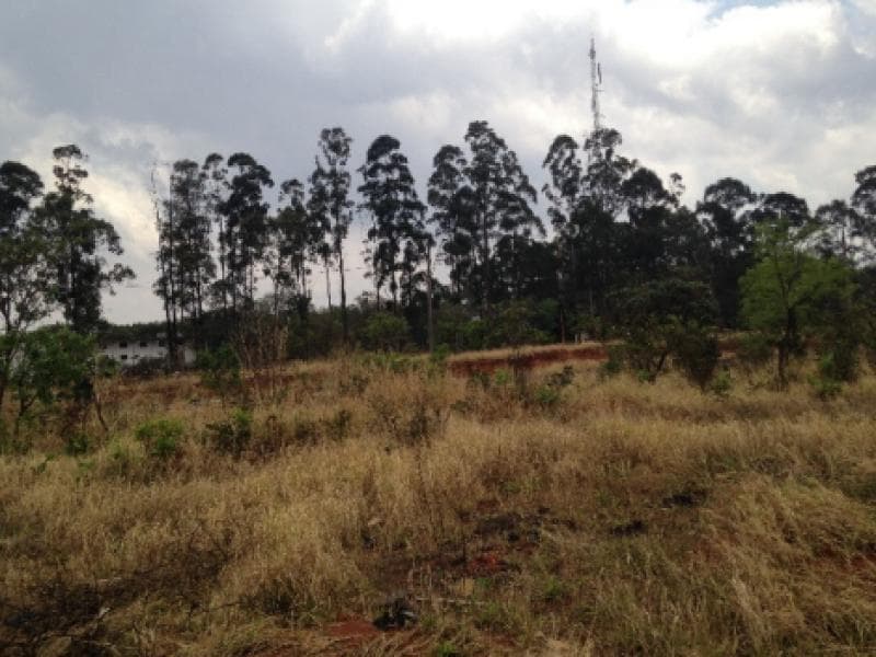 Foto 2 de 4: Terreno em leilão em Araguari - MG, bairro Milenium — Lote, Araguari / MG