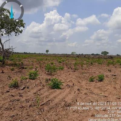 Foto 16 de 17: Area Rural em leilão em Paranã - TO — IMÓVEL RURAL | 1.522,3316 HA | FAZENDA LARGA OU LARGA DO ZÉ JANUÁRIO | PARANÃ/TO.