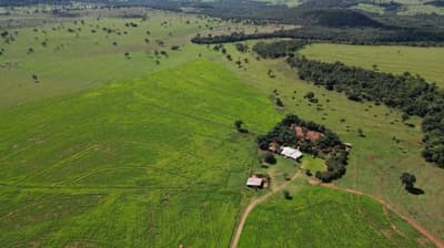 Foto 2 de 4: Area Rural em leilão em Costa Rica - MS — PARTE IDEAL DE 50% PERTENCENTE EM NOME DE GERRI ADRIANE DE CARVALHO DA MATRÍCULA N° 21.296 DE COSTA RICA/MS