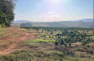 Foto 2 de 12: Area Rural em leilão em Guapé - MG — IMÓVEL RURAL Em GUAPÉ/MG