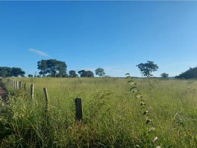 Foto 1 de 6: Area Rural em leilão em Bela Vista De Goiás - GO — IMÓVEL RURAL COM ÁREA DE 20.50.25,85 hectares- Em GOIÁS/GO