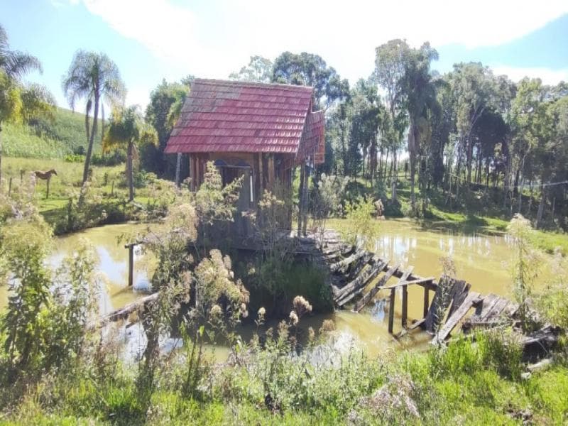 Foto 5 de 8: Area Rural em leilão em Bom Retiro - SC, bairro Costão do Frade — Fazenda, 8.0 ha, Bom Retiro / SC