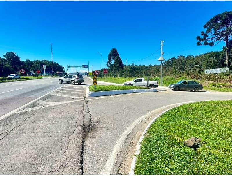 Foto 7 de 35: Area Rural em leilão em São José Dos Pinhais - PR — Sitio com área total de 120.974,16m², localizado Borda do Campo em São José dos Pinhais/PR
