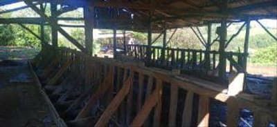 Foto 5 de 11: Terreno em leilão em Pinheirinho Do Vale - RS — Imóvel rural com área total de 10,80 hectares - Pinheirinho do Vale/RS.