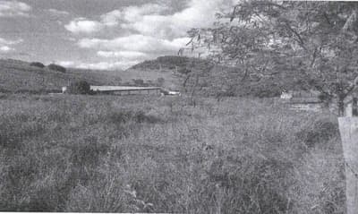 Foto 5 de 7: Terreno em leilão em Muriaé - MG, bairro Sofocó — IMÓVEL URBANO COM ÁREA TOTAL DE 48.206,32 m2- Em MURIAÉ/MG