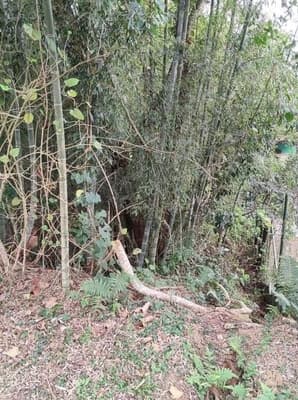 Foto 1 de 3: Terreno em leilão em São Roque - SP — Terreno de 1.364 metros quadrados São Roque/SP