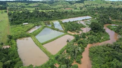 Foto 6 de 7: Area Rural em leilão em Alta Floresta D'oeste - RO — IMÓVEL RURAL COM 11,6614HA, SETOR PARECIS EM ALTA FLORESTA D'OESTE/RO.