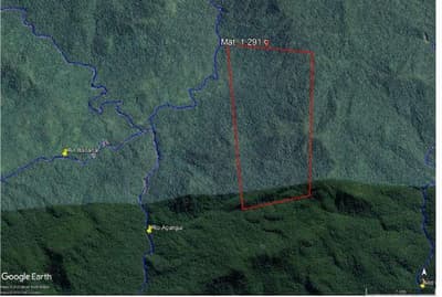 Area Rural em leilão em Guaraqueçaba - PR — Imóvel rural, com área de 242,00 hectares, sem benfeitorias, situado no município de Guaraqueçaba/PR