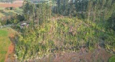 Foto 3 de 6: Area Rural em leilão em São Jorge D’oeste - PR — IMÓVEL RURAL COM ÁREA TOTAL DE 33.434.00 m², EM SÃO JORGE DOESTE-PR