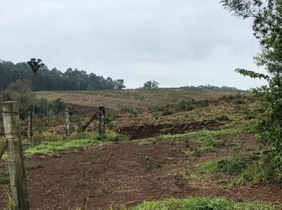 Foto 4 de 4: Area Rural em leilão em Nova Laranjeiras - PR — IMÓVEL RURAL COM ÁREA DE 242.000 m2- NOVA LARANJEIRAS/PR