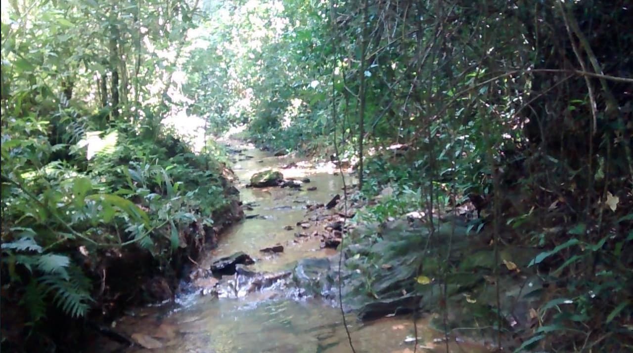 Foto 4 de 4: Area Rural em leilão em Padre Bernardo - GO — IMÓVEL RURAL | A.T. 214.634 HA FAZ. SANTA FÉ | PADRE BERNARDO/GO - LEILÃO EMPRESARIAL SISTÊMICO SICREDI