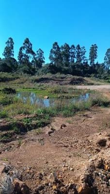 Foto 2 de 8: Area Rural em leilão em Fontoura Xavier - RS, bairro Interior — IMÓVEL RURAL (FRAÇÃO IDEAL) 39.790 m² EM FONTOURA XAVIER-RS