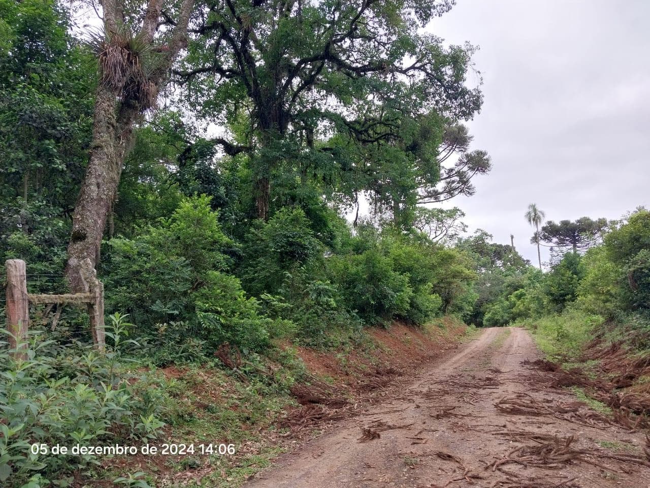 Terreno em leilão em Lapa - PR — Terreno rural, com área de 36.300,00m², Lapa/PR