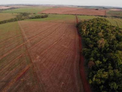 Foto 3 de 4: Area Rural em leilão em Fênix - PR — IMÓVEL RURAL COM ÁREA DE TOTAL DE 12,1596 hectares, EM FÊNIX-PR