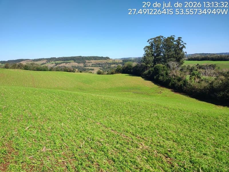 Terreno em leilão em Erval Seco - RS, bairro Interior — IMÓVEL RURAL COM ÁREA DE de 107.819,20 m2, EM ERVAL SECO/RS
