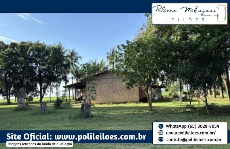 Foto 8 de 14: Area Rural em leilão em Sorriso - MT — Área Rural, Fração Ideal 181,5ha, AT. 363ha, denominada Dal Bosco, Fazenda Rondinha I, Lote Primavera, em Sorriso/MT