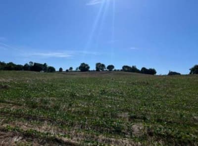 Foto 5 de 5: Area Rural em leilão em São José Das Missões - RS — IMÓVEL RURAL COM ÁREA DE de 36.116,81m2 EM SÃO JOSÉ DAS MISSÕES-RS