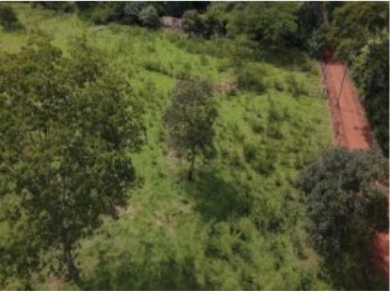 Foto 4 de 8: Area Rural em leilão em Brasília - DF — Area, 2.02 ha, Brasilia / DF