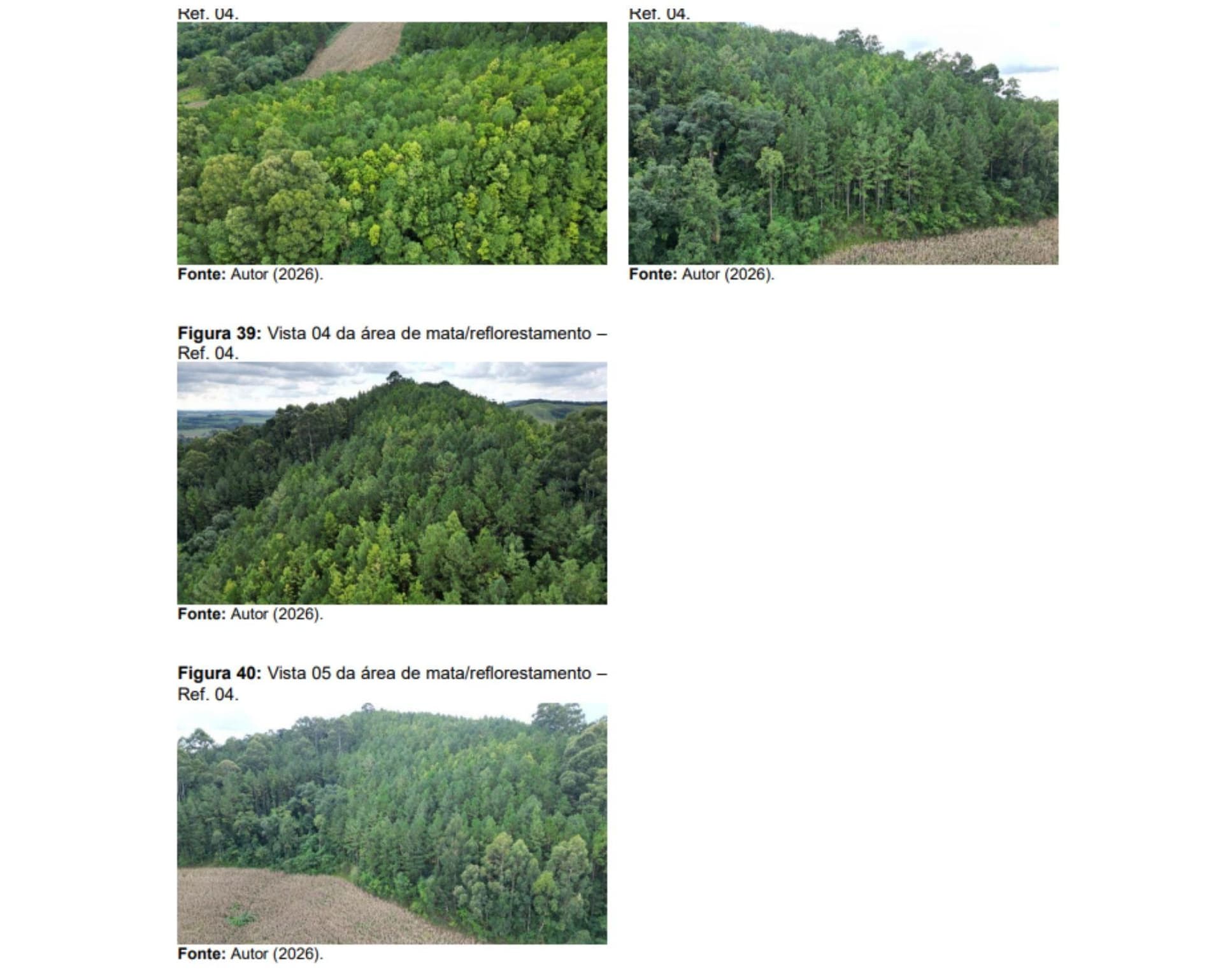 Foto 9 de 16: Area Rural em leilão em Jupiá - SC — Lote Rural 45074m², Linha Pinheiro, Jupiá/SC