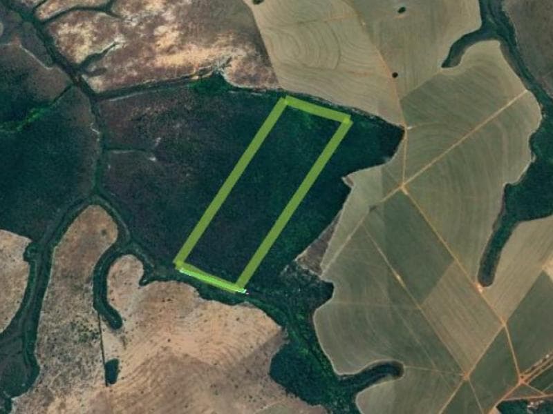 Foto 2 de 3: Area Rural em leilão em Mineiros - GO — Fazenda, 100.73 ha, Mineiros / GO
