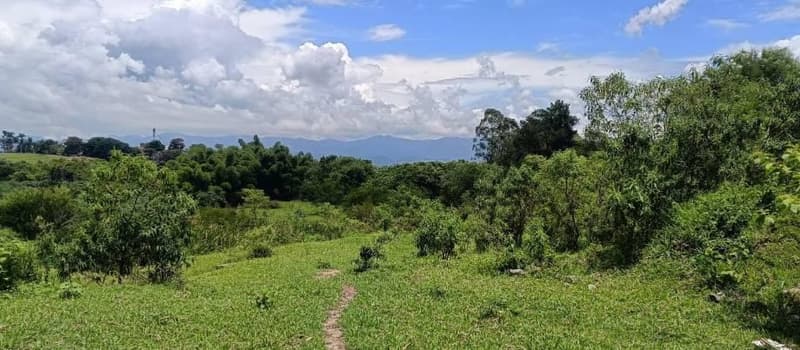 Foto 6 de 14: Terreno em leilão em Taubaté - SP — Lote, Desocupado, Taubaté / SP