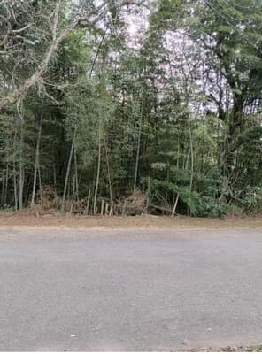 Foto 3 de 3: Terreno em leilão em São Roque - SP — Terreno de 1.364 metros quadrados São Roque/SP
