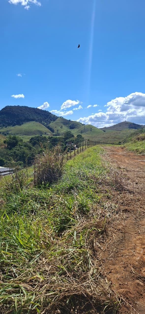 Foto 3 de 13: Terreno em leilão em Muriaé - MG, bairro Vila Conceição — TERRENO URBANO COM ÁREA TOTAL DE 1.688,82 m² - MURIAÉ/MG