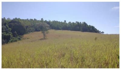 Foto 2 de 9: Area Rural em leilão em Tiros - MG — Tiros/MG - Área Rural com 38.13Ha - Desocupado