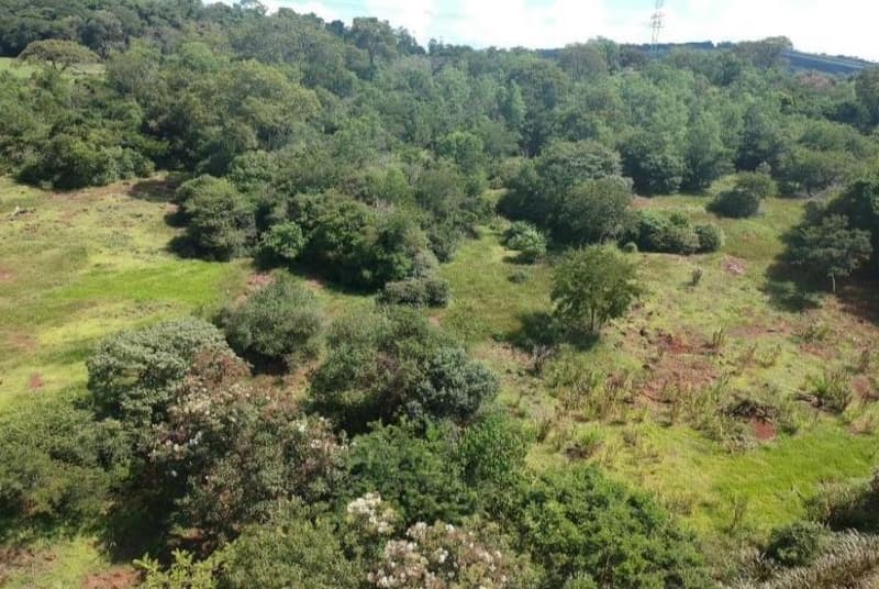 Foto 2 de 8: Area Rural em leilão em Mercedes - PR — IMÓVEL RURAL COM ÁREA DE 70.050 m2- Em MERCEDES/PR