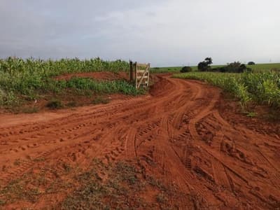 Area Rural em leilão em Platina - SP — 50% do imóvel rural com 18,2619 ha,