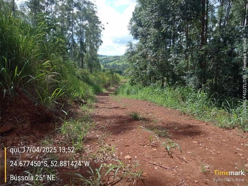 Foto 3 de 8: Area Rural em leilão em Campina Da Lagoa - PR — IMÓVEL RURAL COM ÁREA DE 60.500 m2 Em CAMPINA DA LAGOA/PR