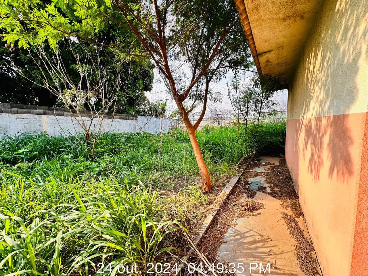 Foto 5 de 28: Comercial em leilão em Umuarama - PR — Galpão Industrial com área de 1.311m², área de terreno de 6.000m² - Umuarama/PR