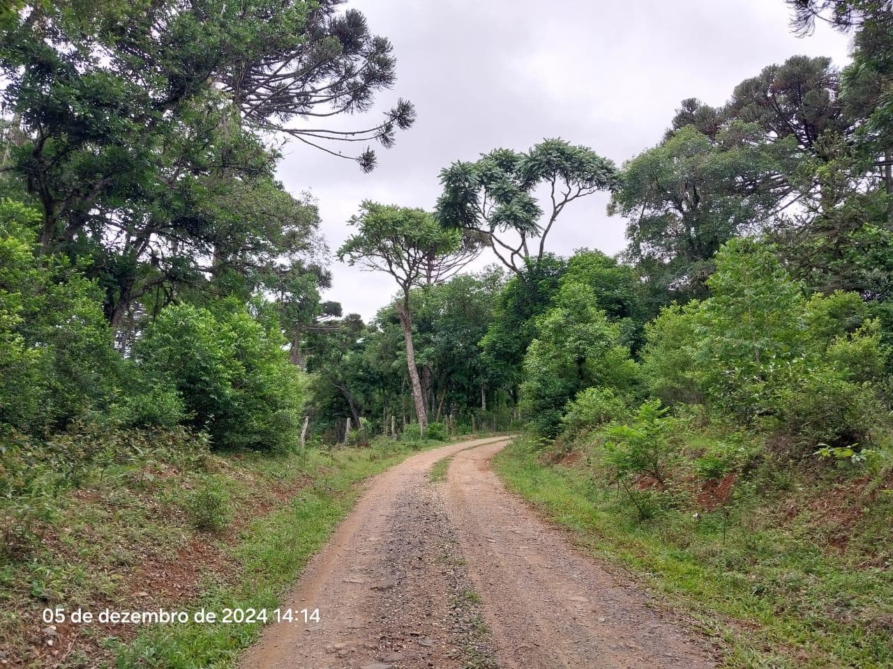 Foto 15 de 17: Terreno em leilão em Lapa - PR — Terreno rural, com área de 36.300,00m², Lapa/PR