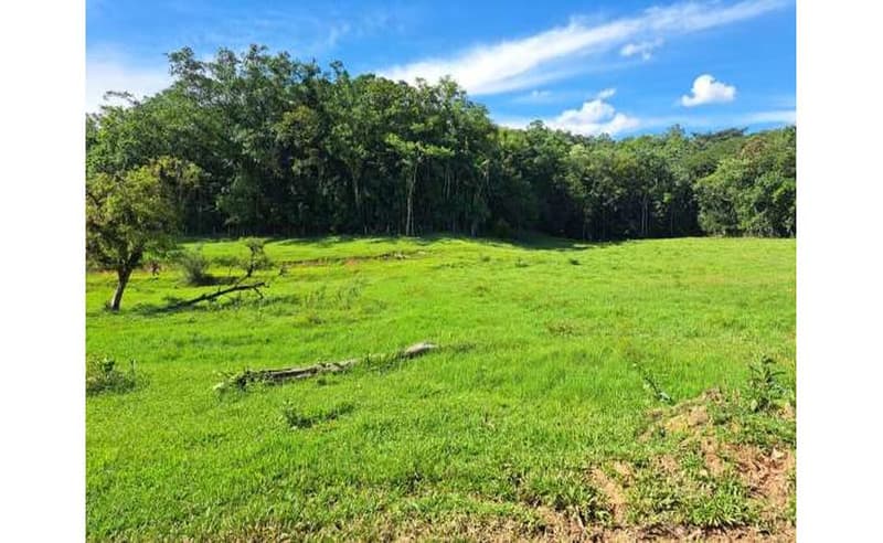 Foto 9 de 64: Terreno em leilão em Blumenau - SC — Um imóvel com área total de 102.114,74m² em Blumenau/SC