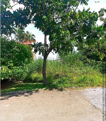 Foto 4 de 9: Terreno em leilão em Valinhos - SP, bairro Vila Moletta — LOTE DE TERRENO DE ESQUINA CONTENDO 417,95 m² NO BAIRRO VILA MOLETTA EM VALINHOS/SP