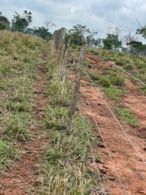 Foto 3 de 6: Area Rural em leilão em Alta Floresta D'oeste - RO — IMÓVEL RURAL| A.T. 12,10 HA SÍTIO STO. ANTÔNIO SETOR RIO BRANCO | ALTA FLORESTA DOESTE/RO