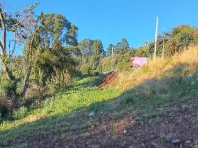 Foto 6 de 8: Terreno em leilão em Cordilheira Alta - SC, bairro Interior — Lote, 300.0 m2, Cordilheira Alta / SC