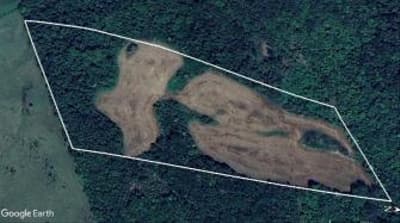 Area Rural em leilão em Nova Esperança Do Sudoeste - PR — IMÓVEL RURAL COM ÁREA TOTAL DE 60.500,00 m² (6,05 hectares) - NOVA ESPERANÇA DO SUDOESTE/PR